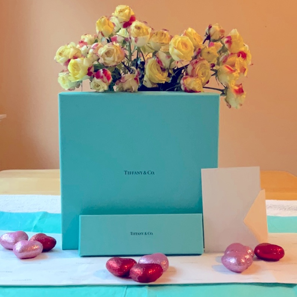 💍 TIFFANY & CO. BOX BUNDLE 💍